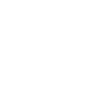 Criminal Law practice area icon